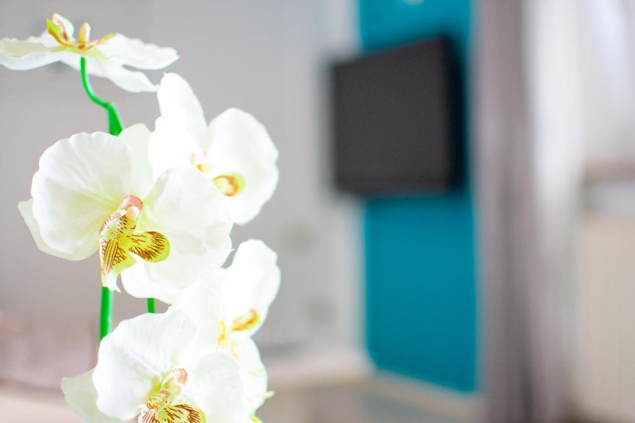 Ferienwohnung App Roko 2 Poreč Exterior foto