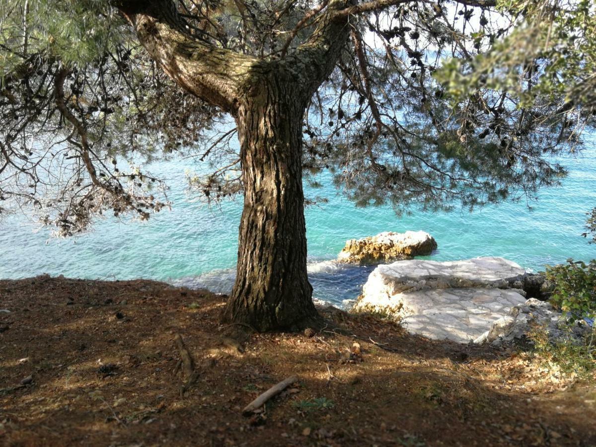 Ferienwohnung App Roko 2 Poreč Exterior foto